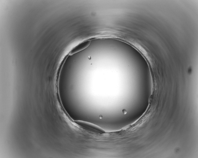 X0000099511485200805221411