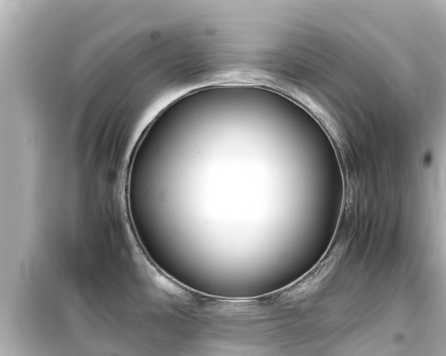 X0000099511486200805221411