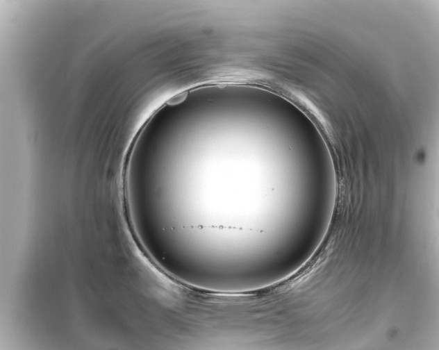 X0000099511487200805221411