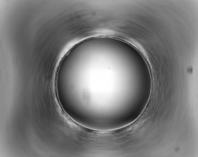 X0000099511488200805221411