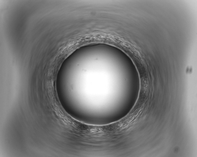 X0000099511489200805221411