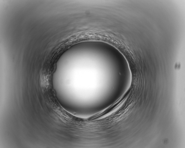X0000099511490200805221411