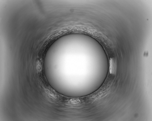 X0000099511491200805221411