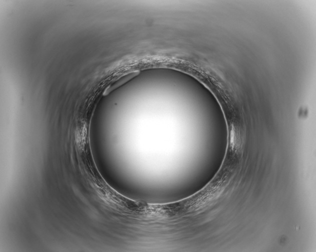X0000099511492200805221411