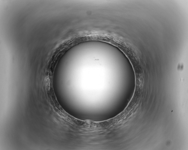 X0000099511493200805221411