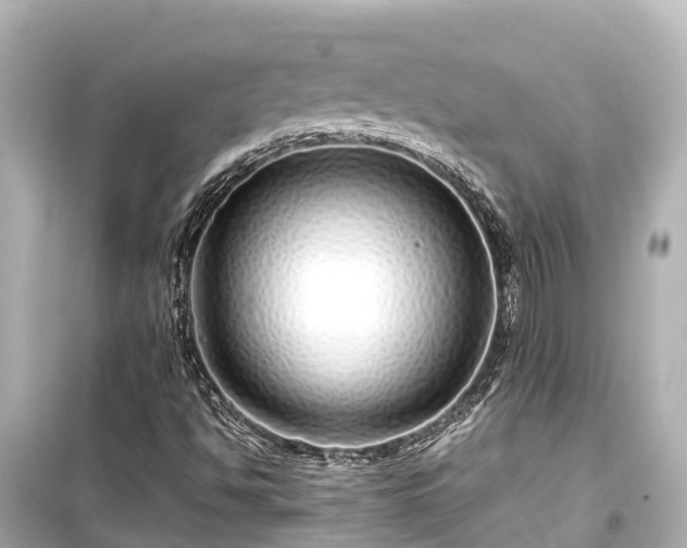 X0000099511494200805221411