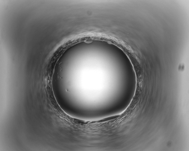 X0000099511495200805221411