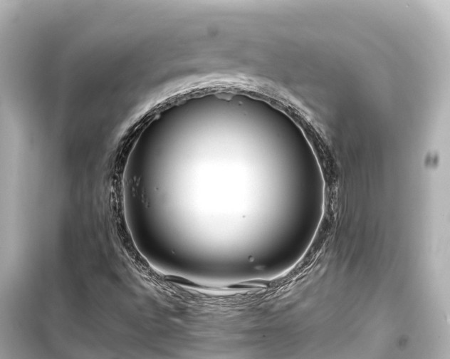 X0000099511496200805221411
