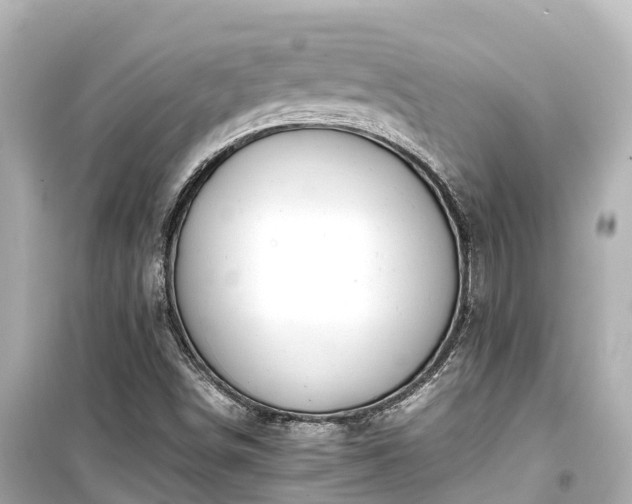X0000099511498200805221411