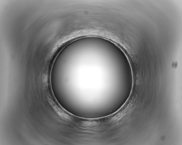 X0000099511499200805221411