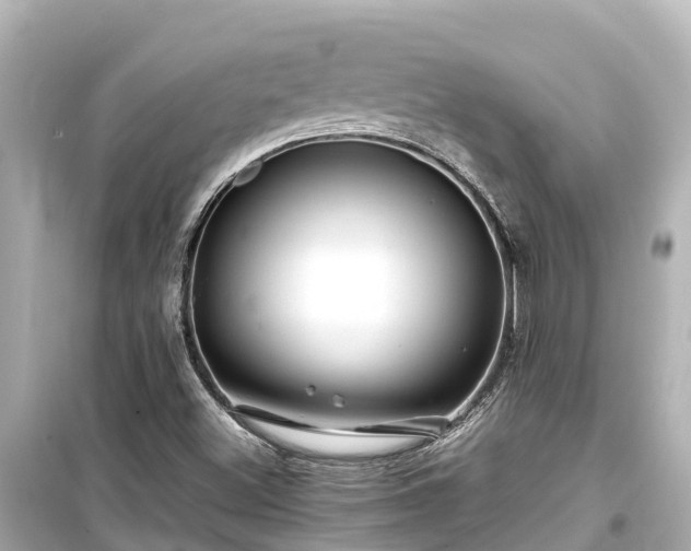 X0000099511500200805221411