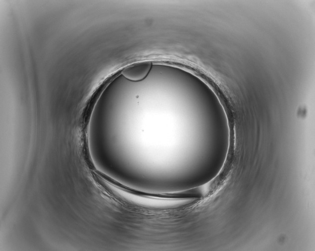 X0000099511501200805221411