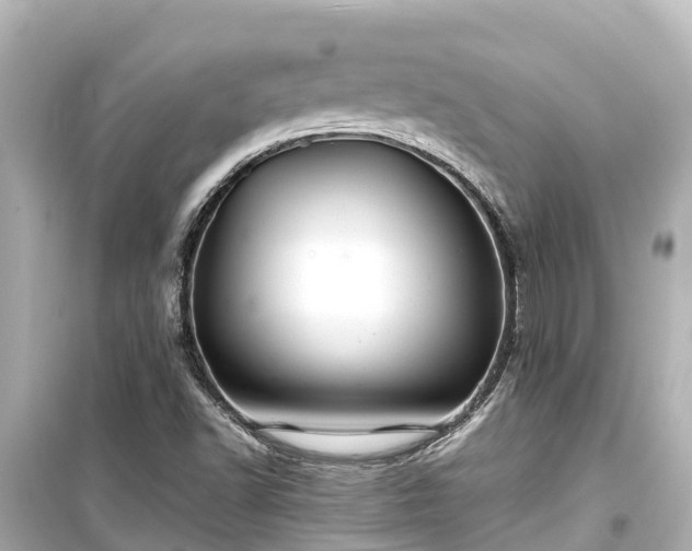 X0000099511502200805221411