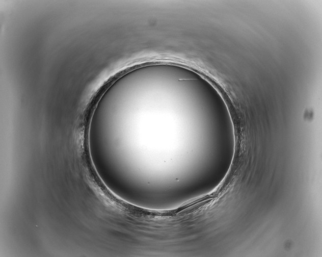 X0000099511503200805221411