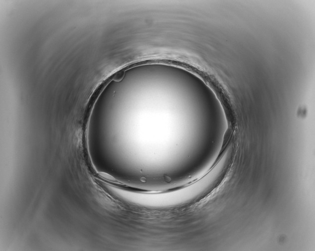 X0000099511505200805221411
