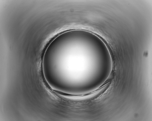 X0000099511507200805221411