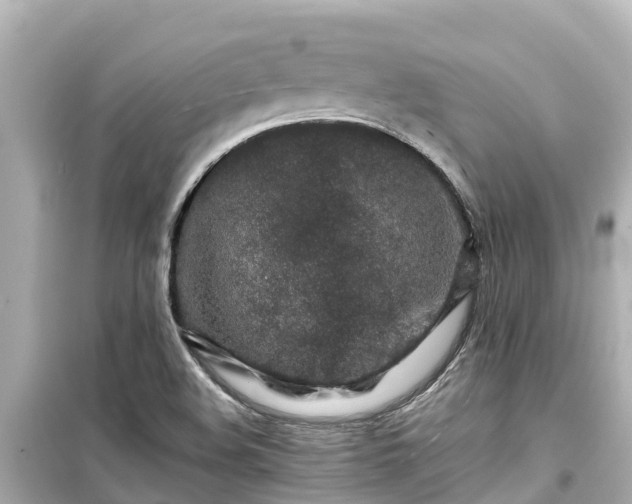 X0000099511508200805221411