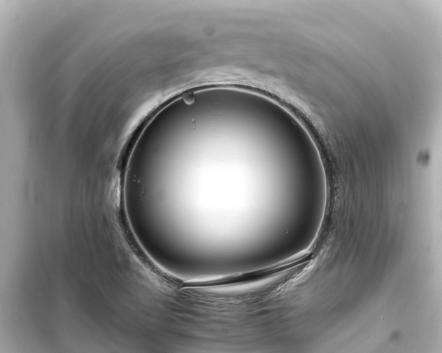 X0000099511509200805221411