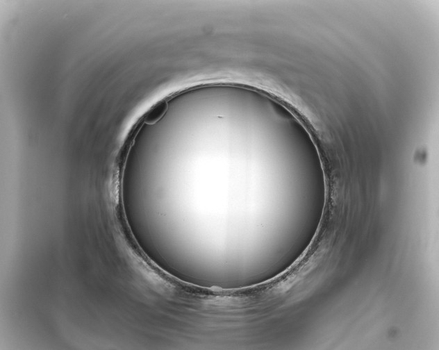 X0000099511510200805221411