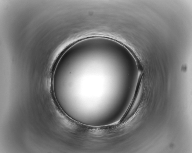X0000099511511200805221411