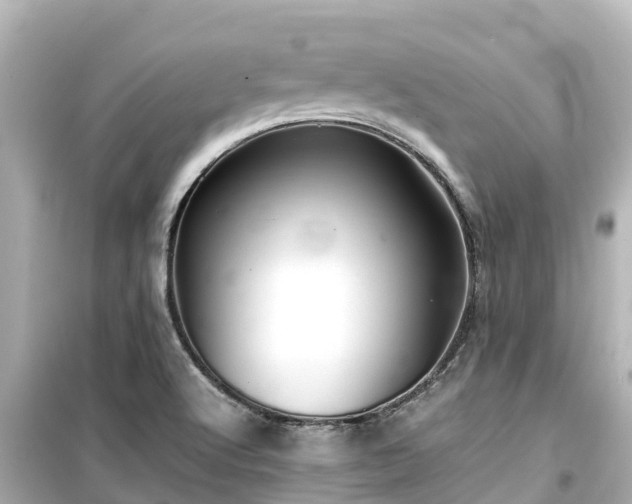 X0000099511512200805221411