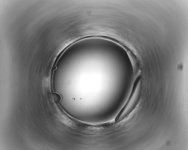 X0000099511513200805221411