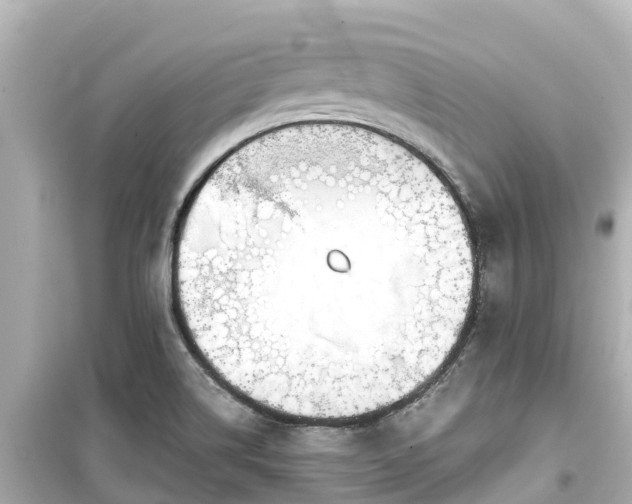 X0000099511514200805221411
