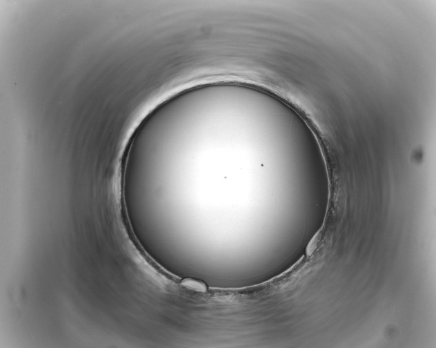 X0000099511516200805221411