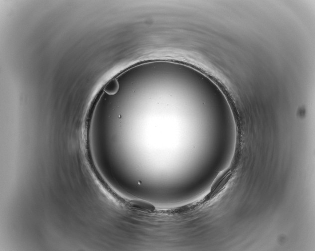 X0000099511517200805221411
