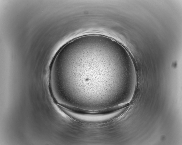 X0000099511519200805221411