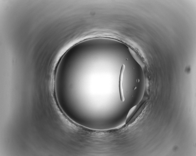 X0000099511520200805221411