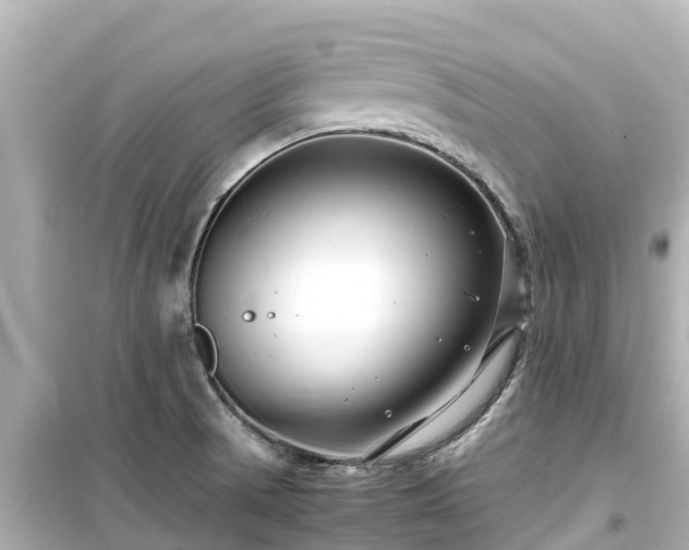 X0000099511521200805221411