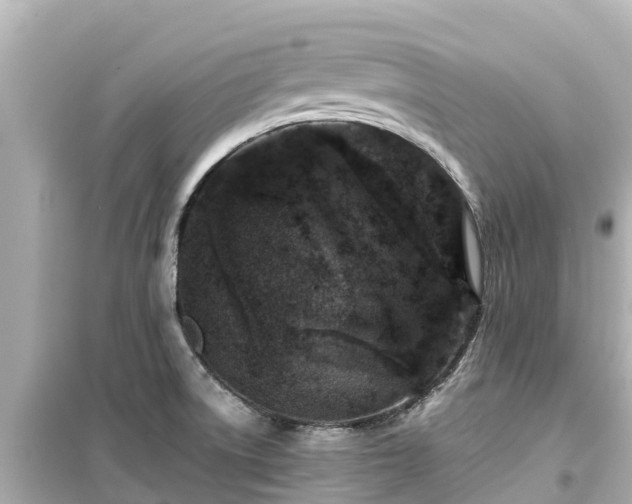 X0000099511522200805221411