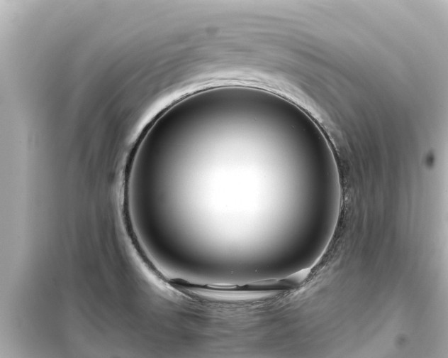 X0000099511523200805221411
