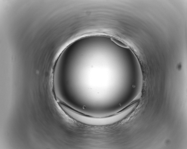 X0000099511524200805221411