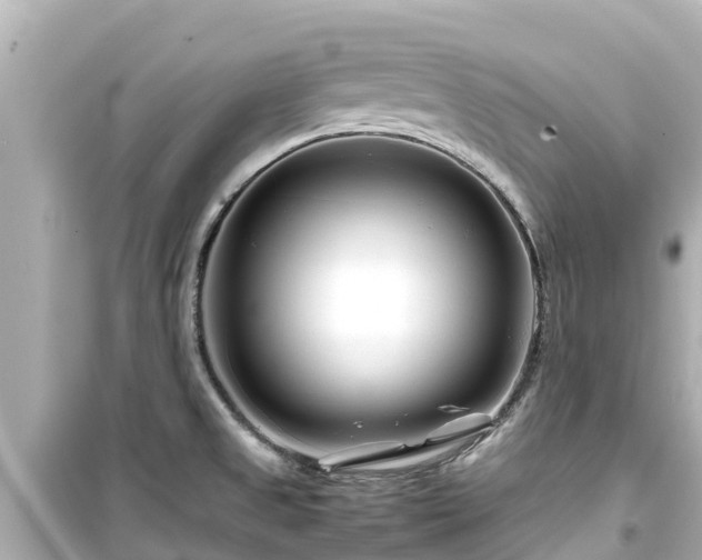 X0000099511525200805221411