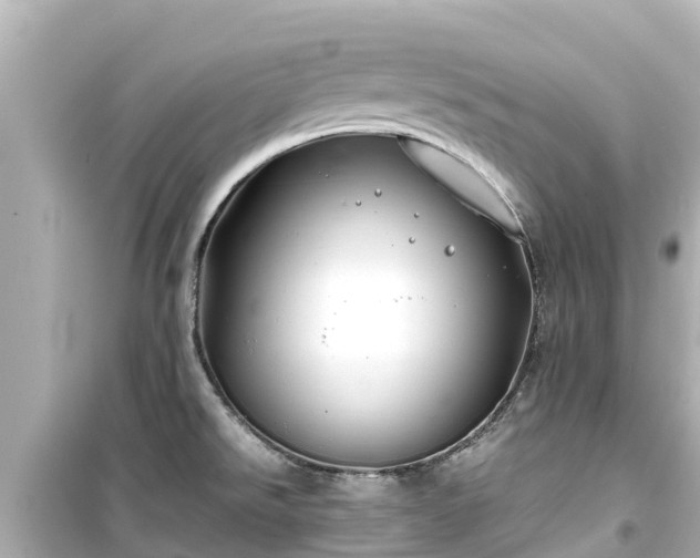 X0000099511526200805221411