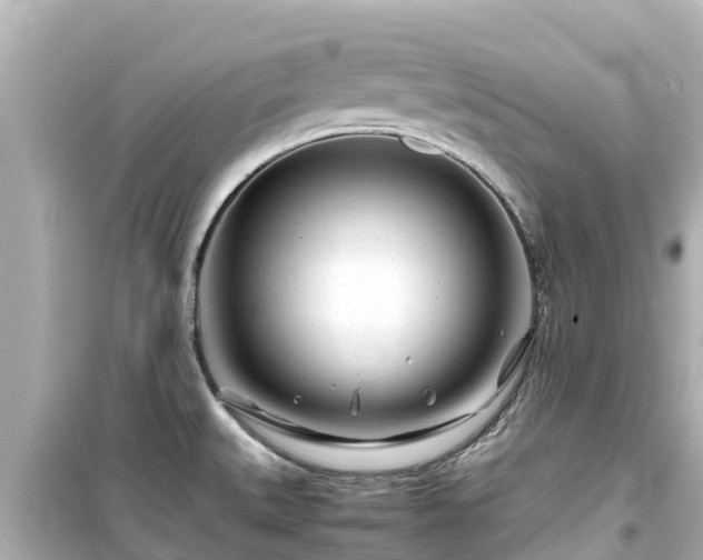 X0000099511527200805221411