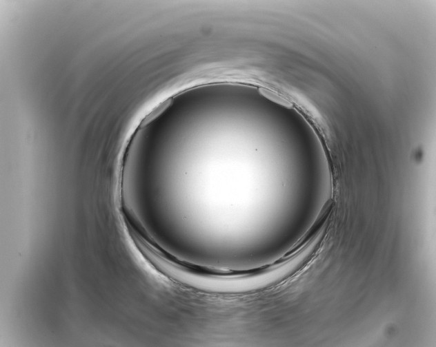 X0000099511528200805221411