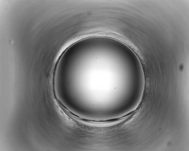 X0000099511530200805221411