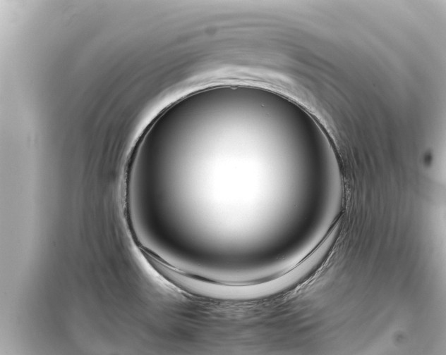 X0000099511531200805221411