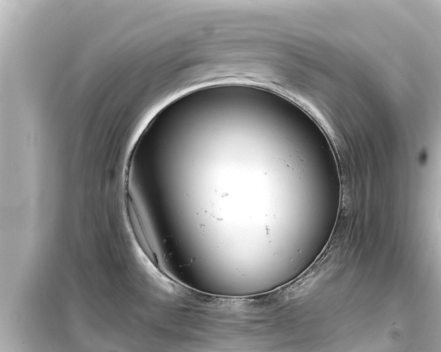 X0000099511532200805221411