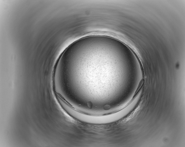 X0000099511533200805221411