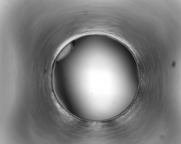 X0000099511534200805221411