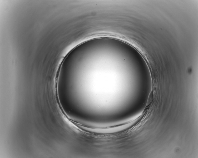 X0000099511535200805221411