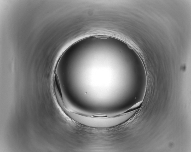 X0000099511536200805221411