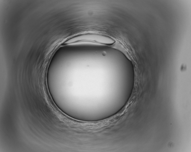 X0000099510001200805291159