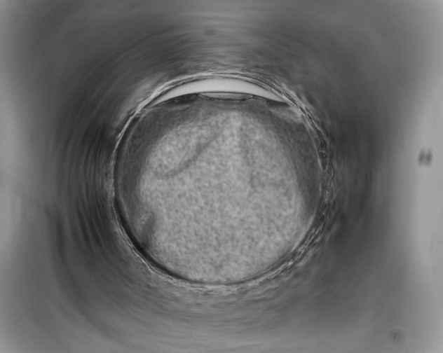 X0000099510002200805291159