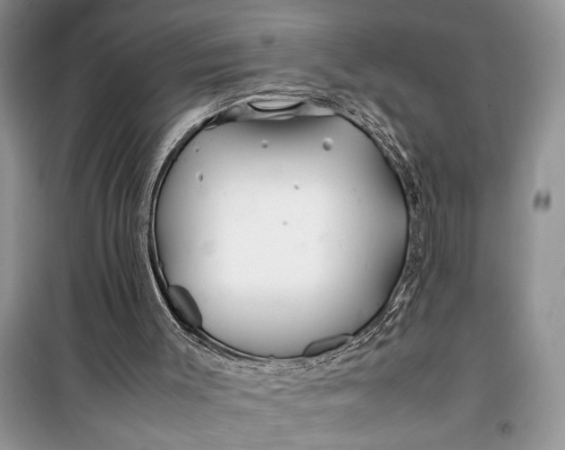 X0000099510003200805291159