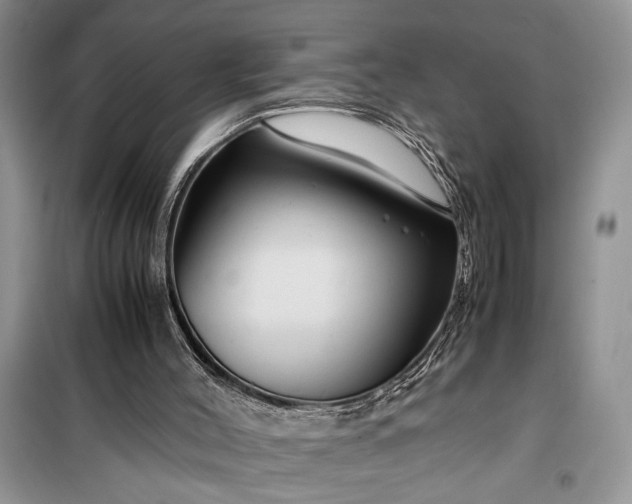 X0000099510004200805291159